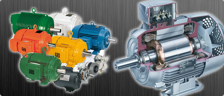 MOTORES EL�TRICOS E MOTOREDUTORES.